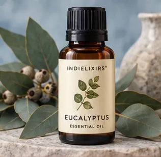 Eucalyptus